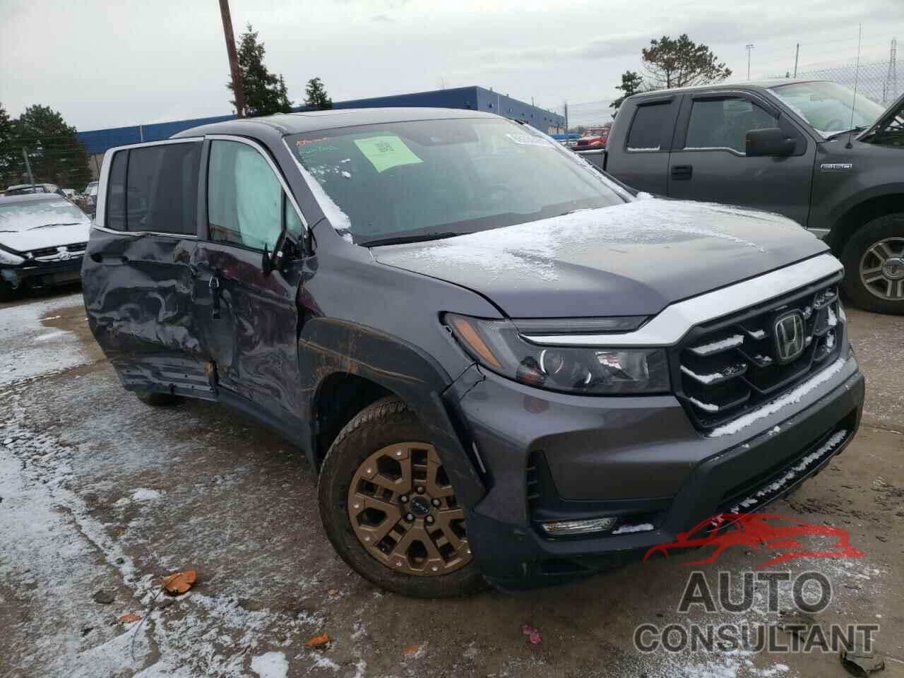 HONDA RIDGELINE 2021 - 5FPYK3F79MB006199