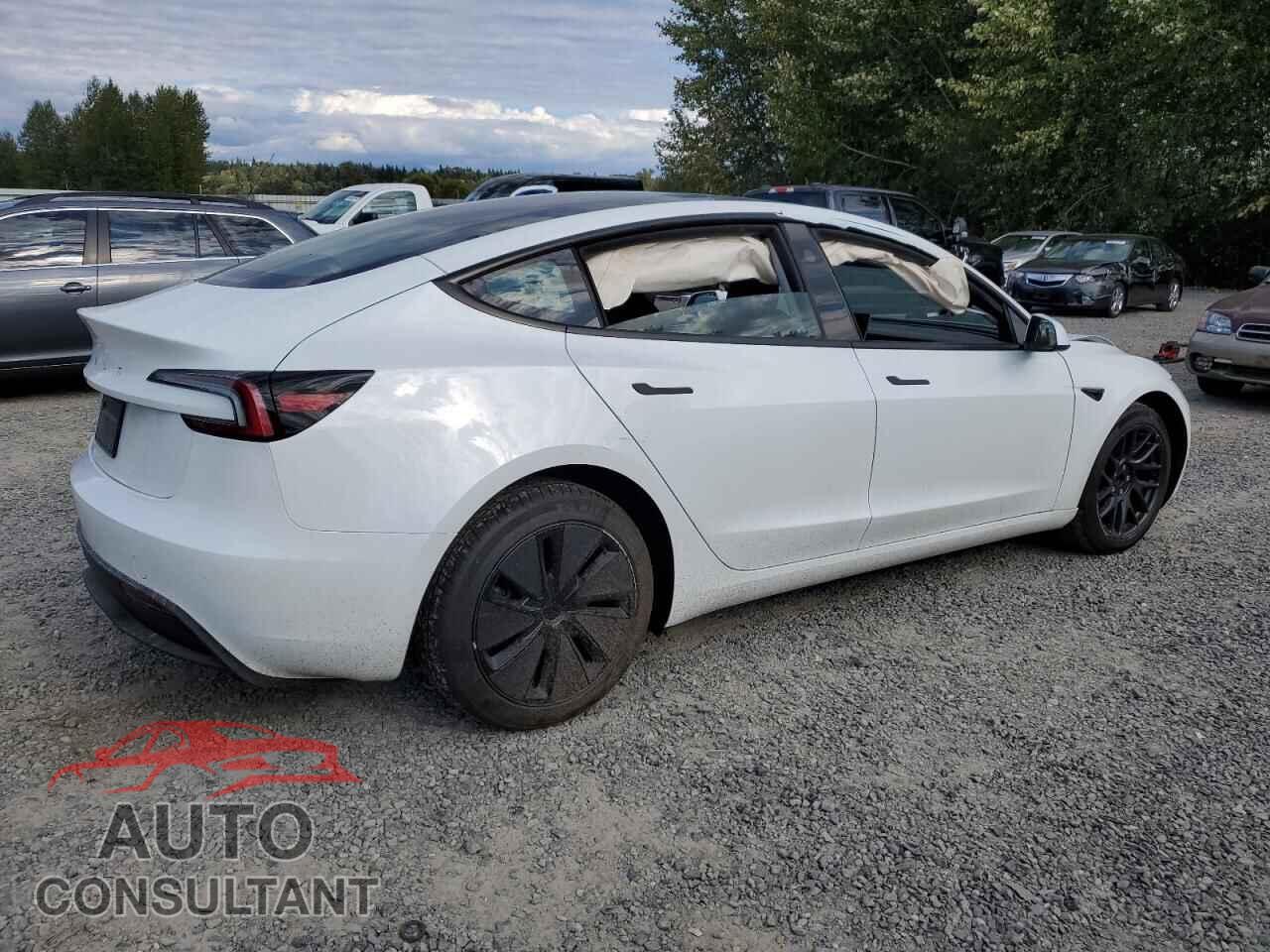 TESLA MODEL 3 2025 - 5YJ3E1EA1SF011079