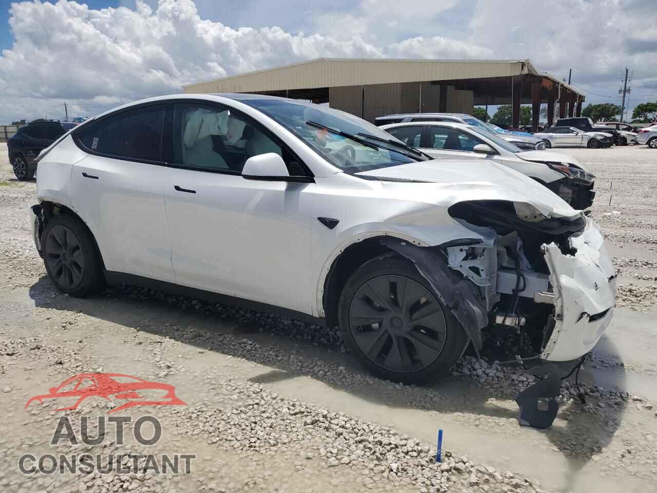 TESLA MODEL Y 2024 - 7SAYGDED1RF169415