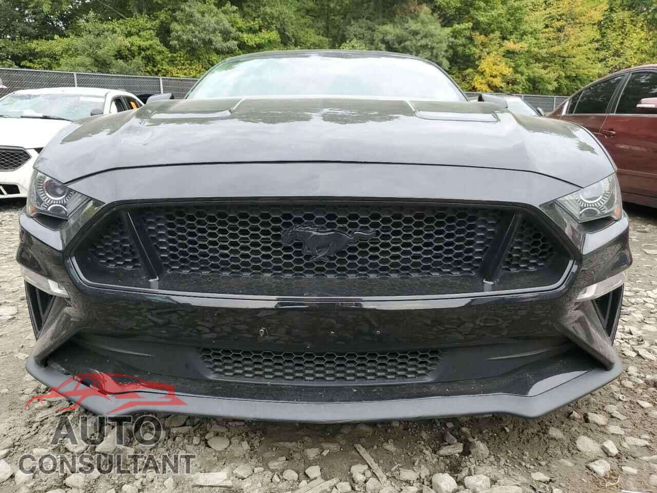 FORD MUSTANG 2019 - 1FA6P8CF9K5153816