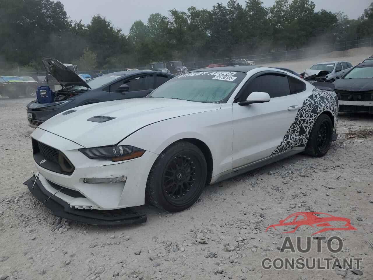 FORD ALL Models 2019 - 1FA6P8TH8K5116855