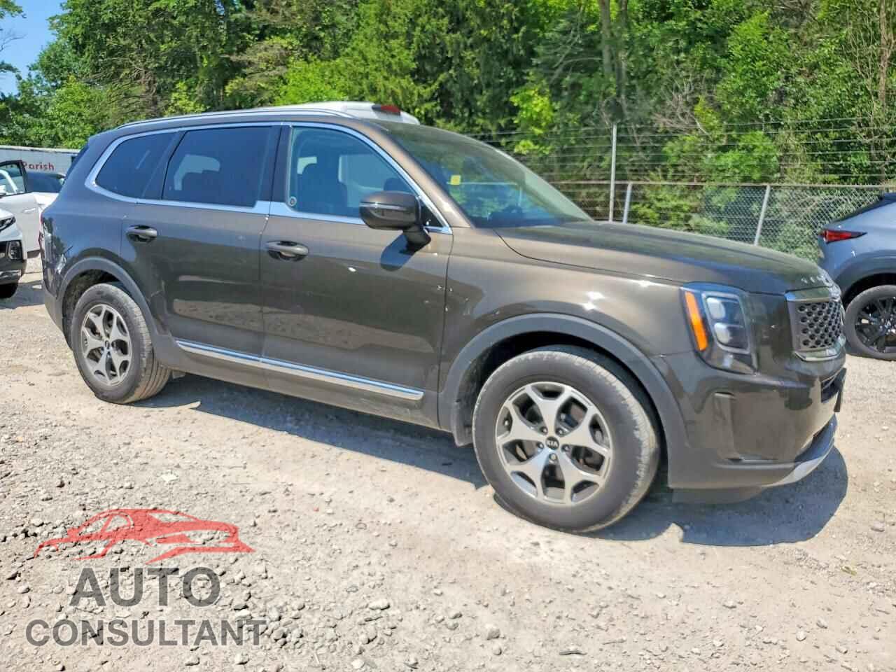 KIA TELLURIDE 2021 - 5XYP3DHC8MG137537