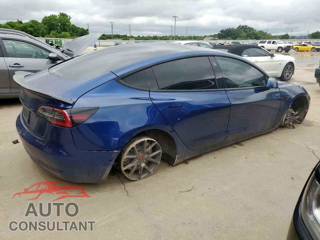 TESLA MODEL 3 2021 - 5YJ3E1EA6MF982484