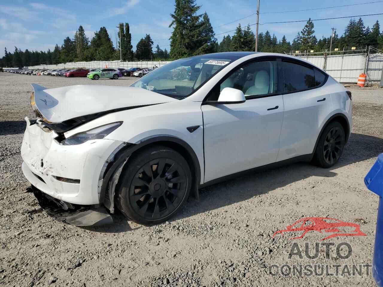 TESLA MODEL Y 2024 - 7SAYGAEE6RF985513