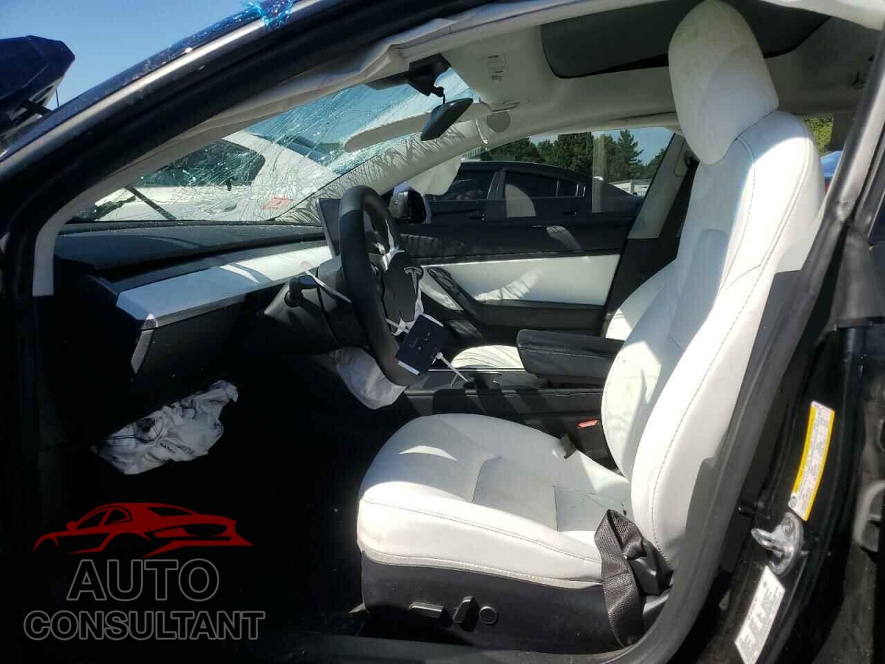 TESLA MODEL 3 2021 - 5YJ3E1EA2MF838334