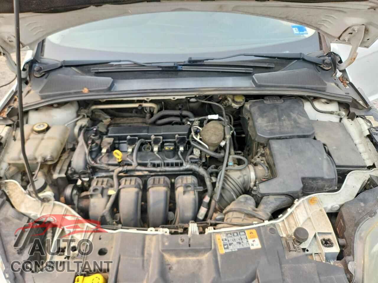 FORD FOCUS 2015 - 1FADP3E29FL366450