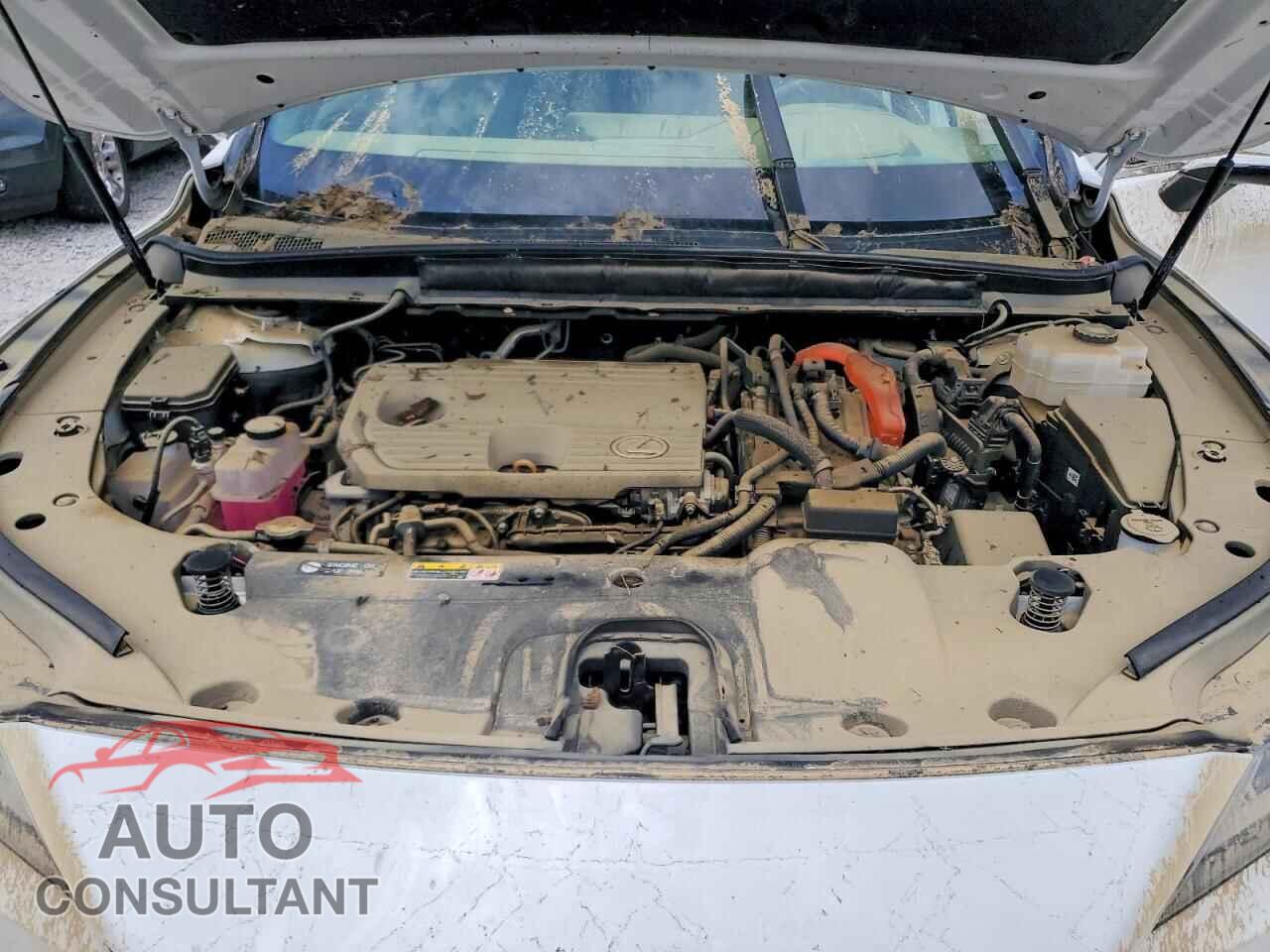 LEXUS UNKNOWN 2025 - 2T2BBMCAXSC068180