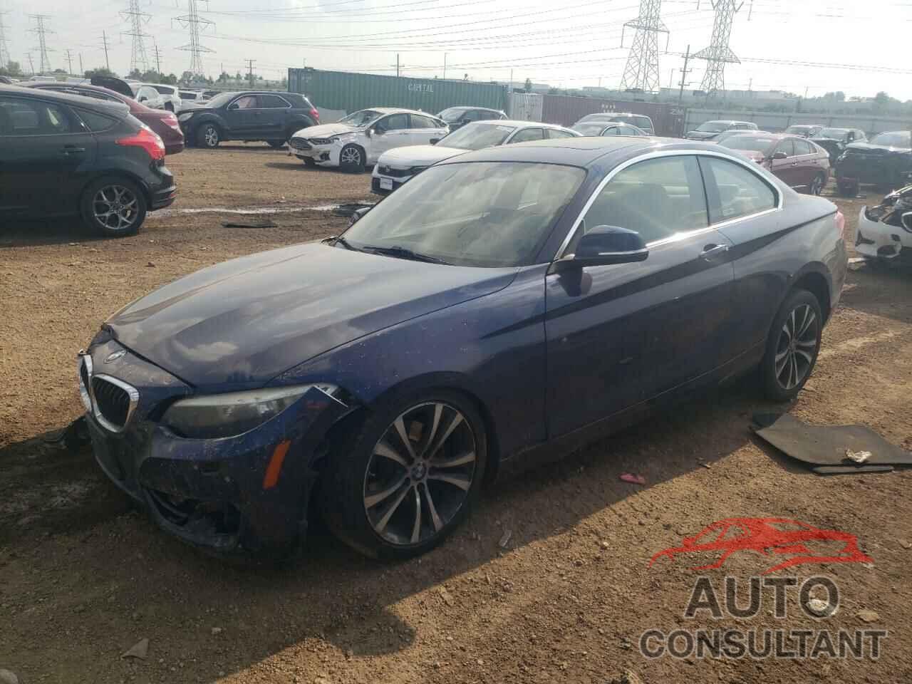 BMW 2 SERIES 2016 - WBA1F9C50GV545074