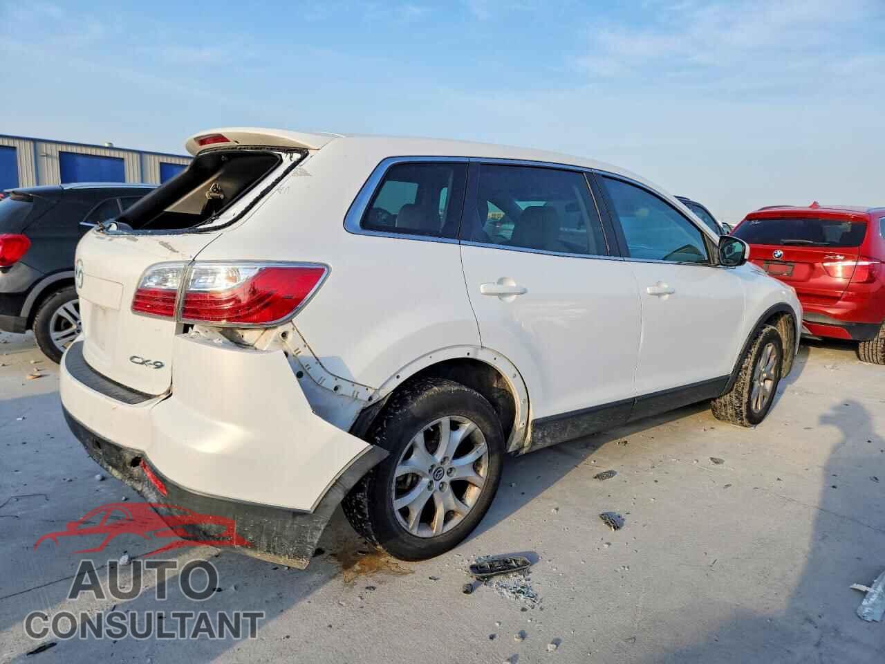 MAZDA CX-9 2011 - JM3TB2BA1B0315523