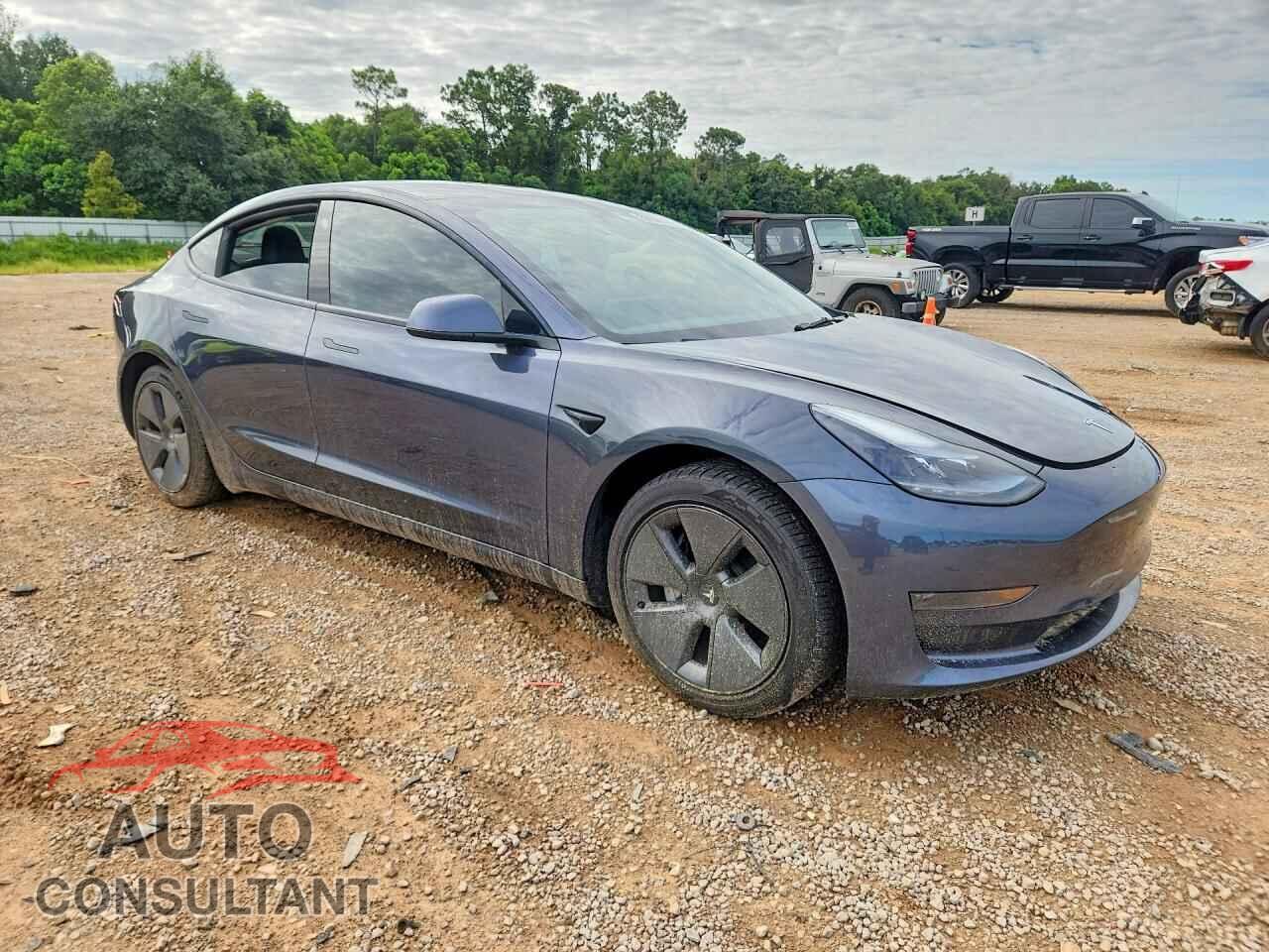 TESLA MODEL 3 2022 - 5YJ3E1EA5NF102781