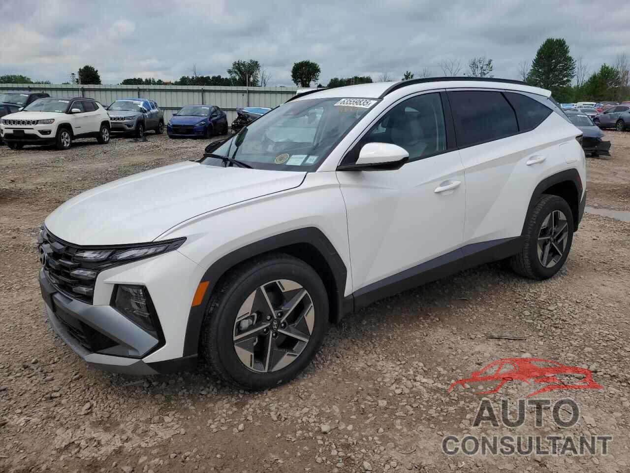 HYUNDAI TUCSON 2025 - 5NMJBCDE2SH526865