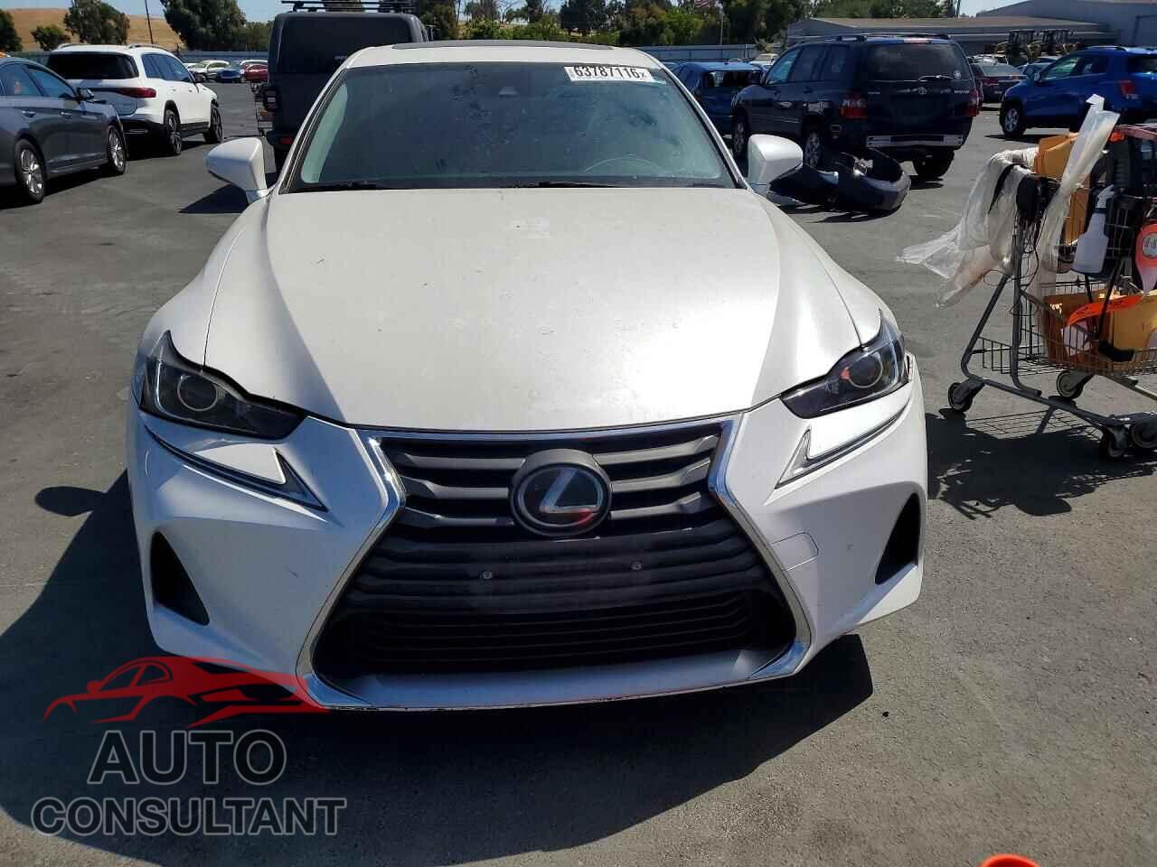 LEXUS IS 2019 - JTHBA1D2XK5098191