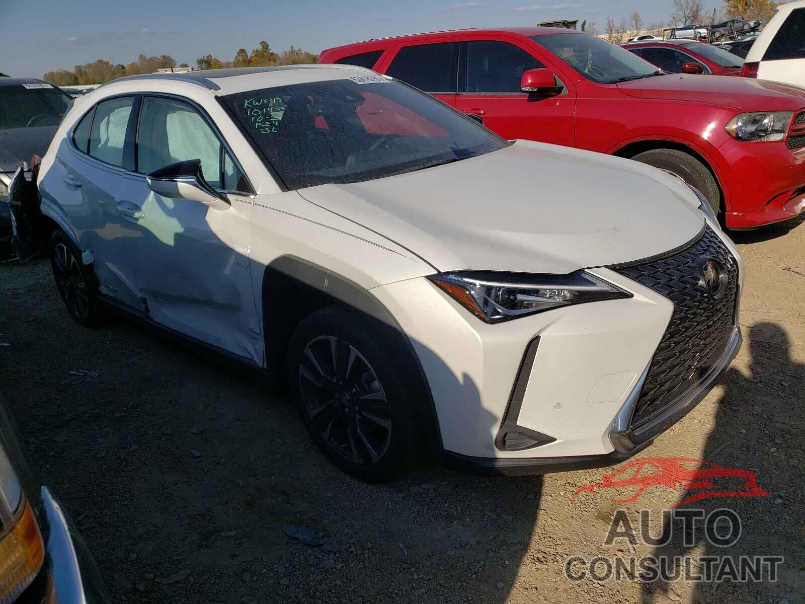 LEXUS UX 250H 2020 - JTHP9JBH6L2030169