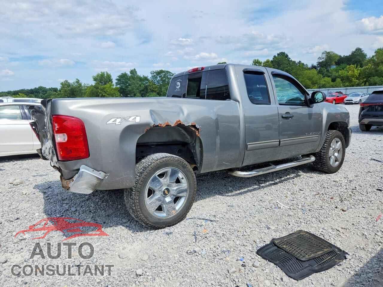 CHEVROLET SILVERADO 2009 - 1GCEK29J09Z136662