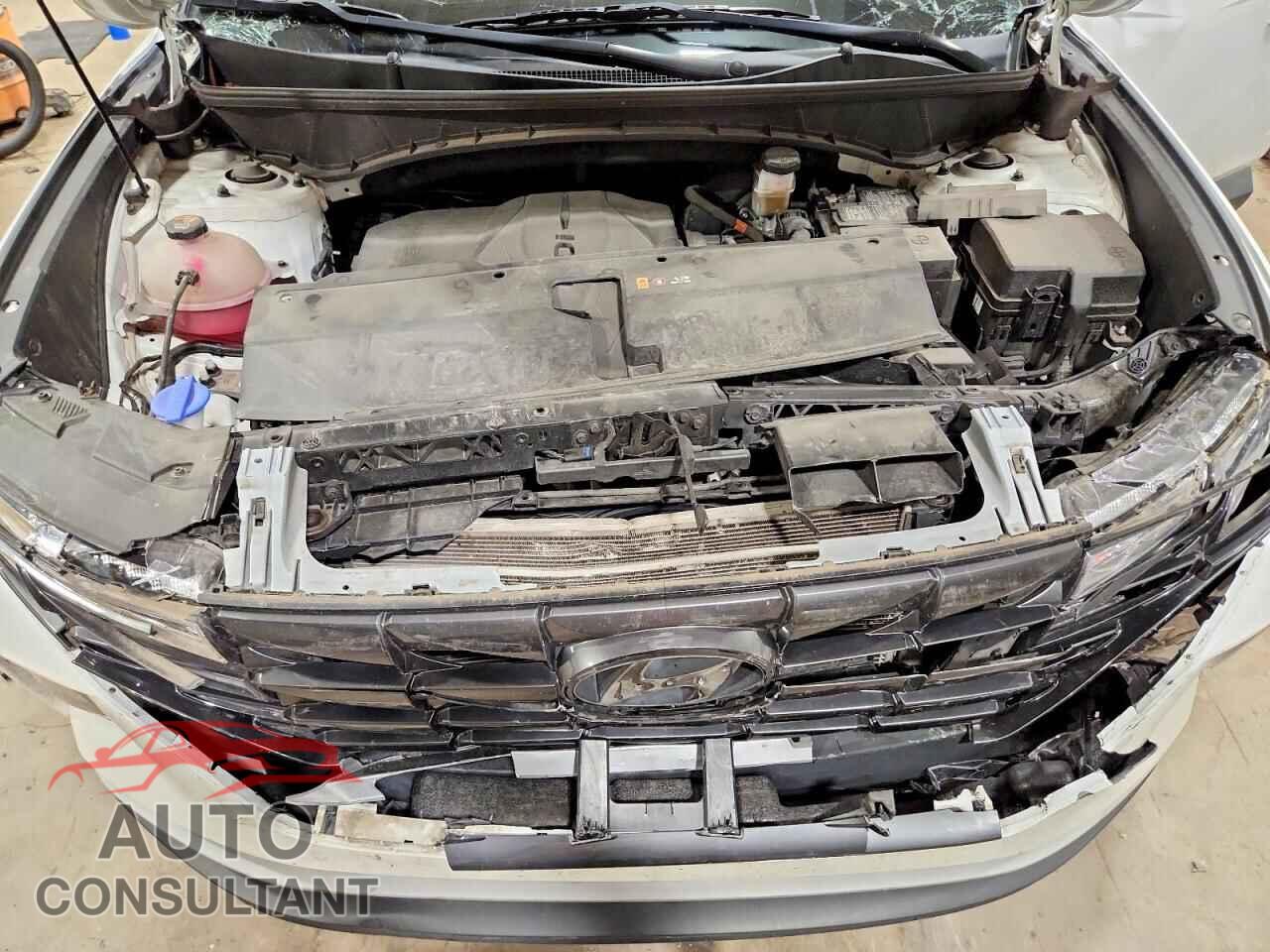 HYUNDAI TUCSON 2022 - 5NMJFCAEXNH021069