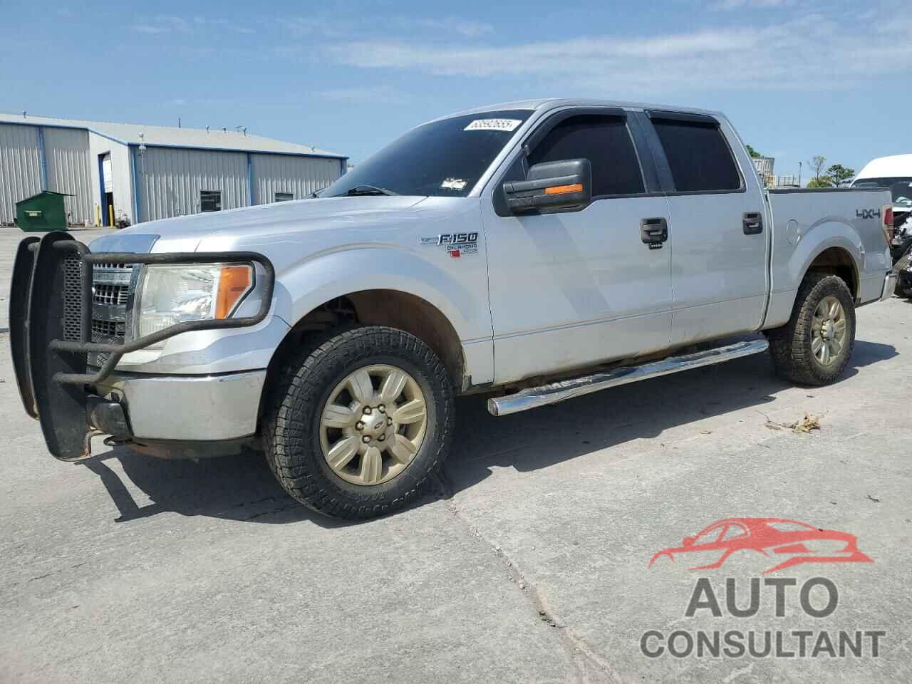 FORD F-150 2010 - 1FTEW1E82AFB42325