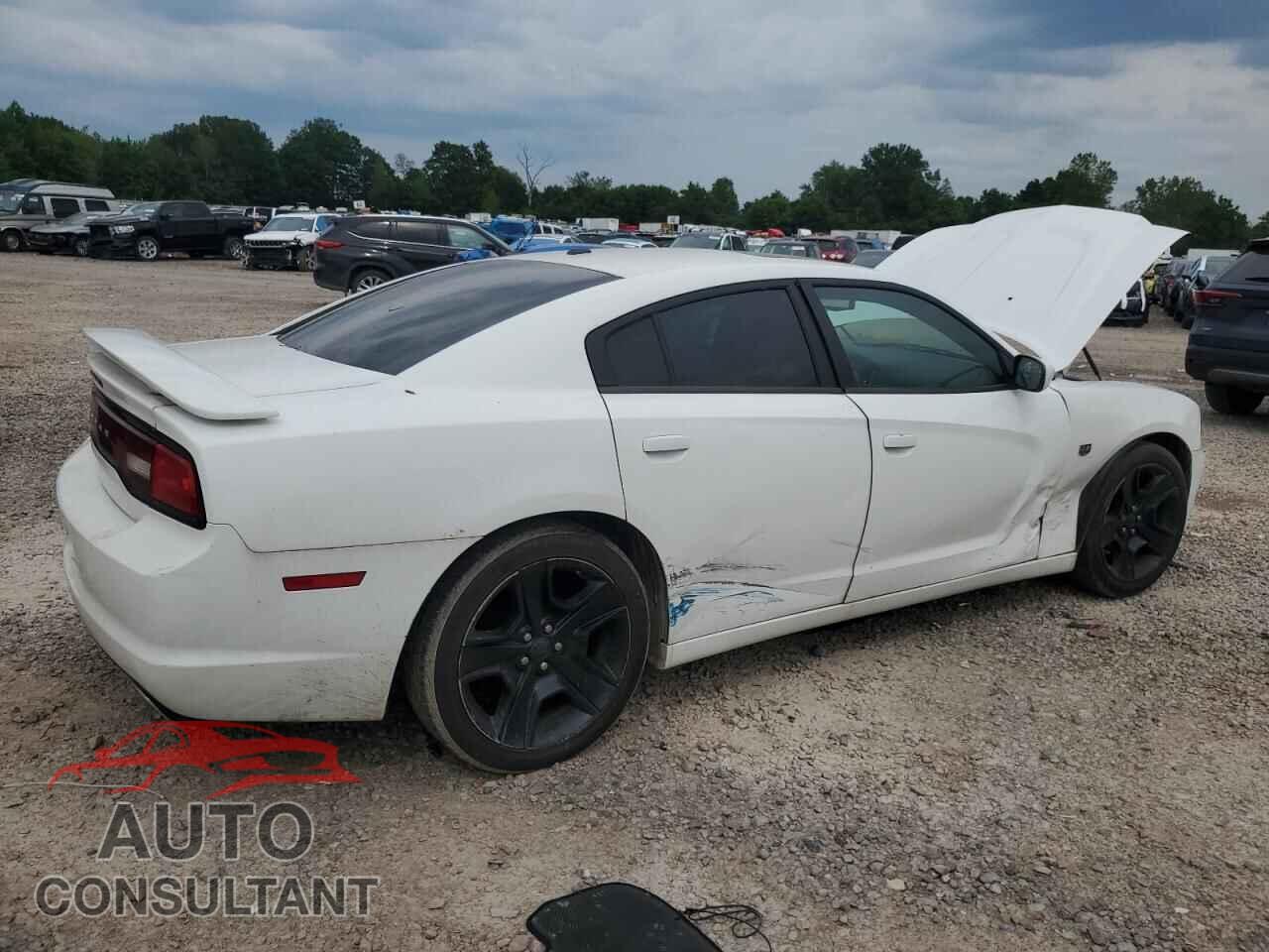 DODGE CHARGER 2011 - 2B3CL3CG2BH534499