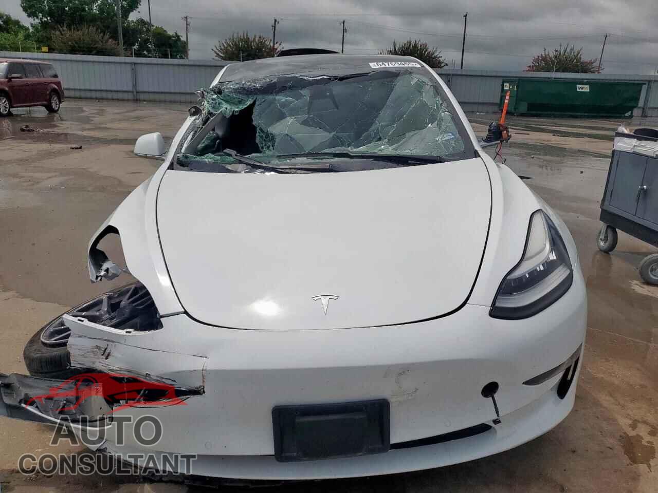 TESLA MODEL 3 2019 - 5YJ3E1EA8KF362779