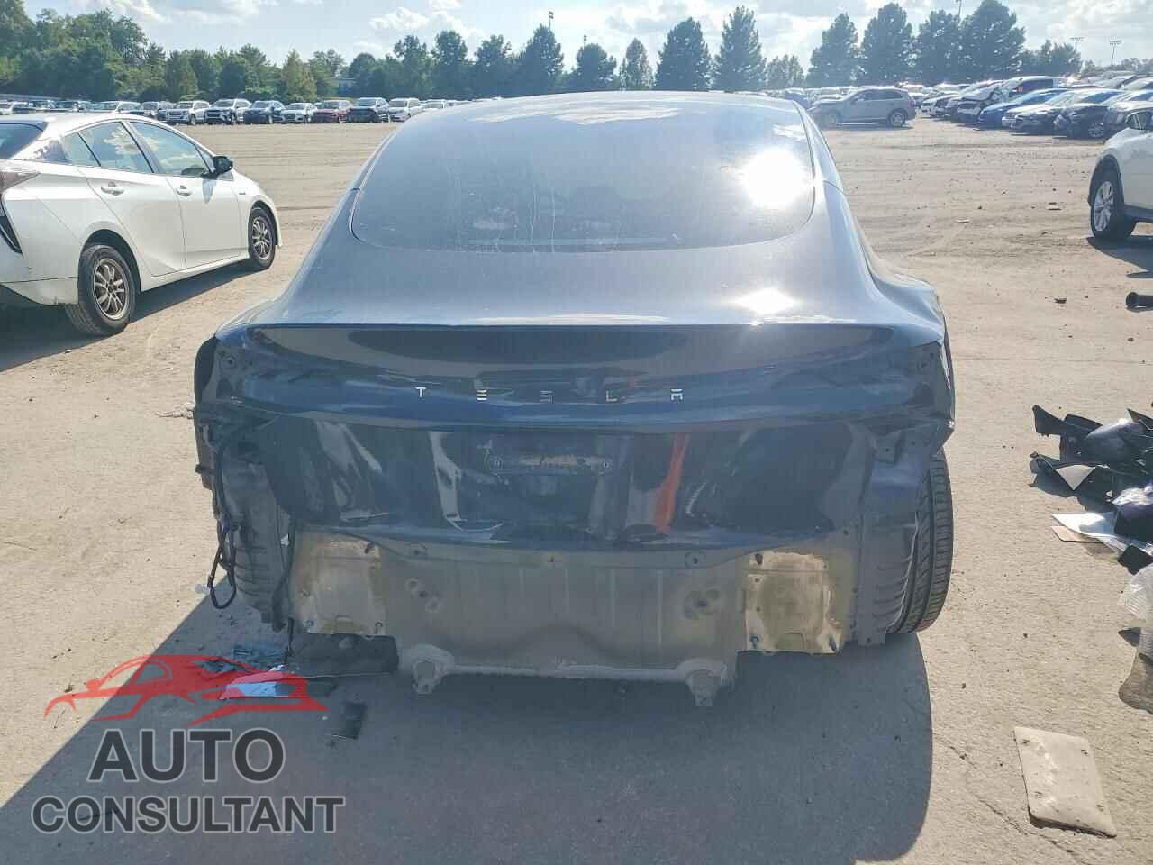 TESLA MODEL 3 2025 - 5YJ3E1EA5SF966869