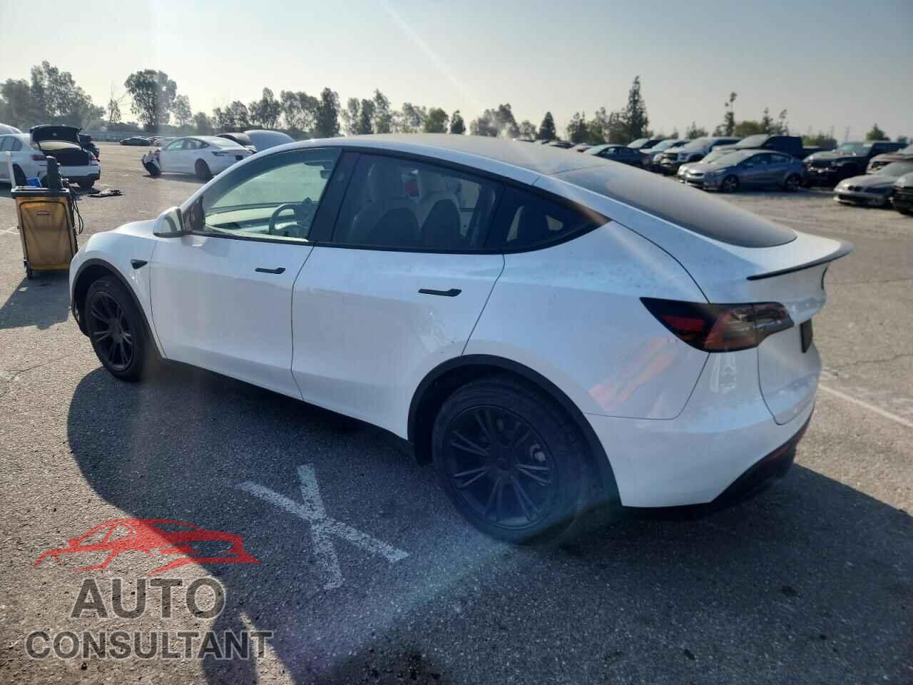 TESLA MODEL Y 2024 - 7SAYGDED6RF167241