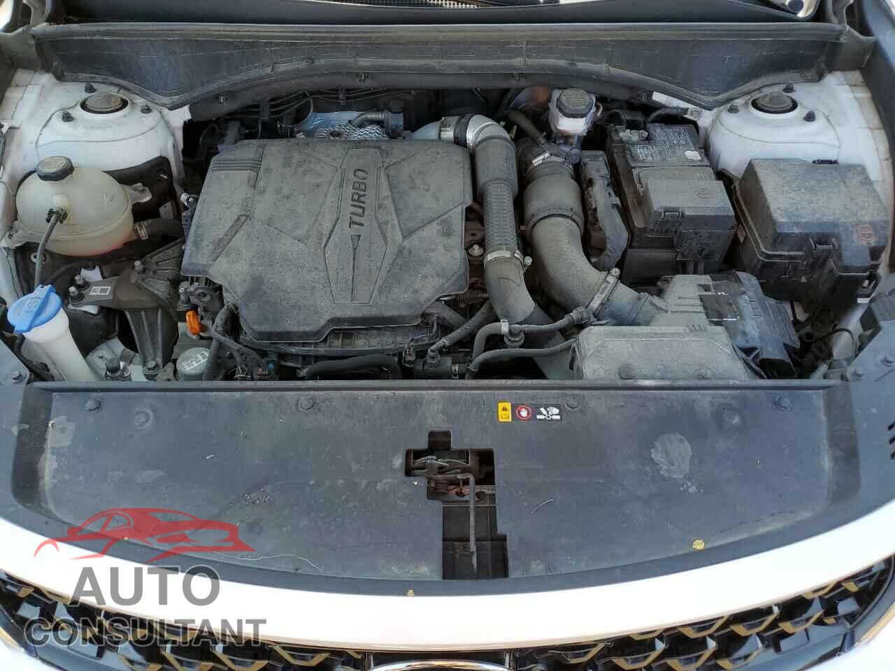 KIA SORENTO 2021 - 5XYRKDLF5MG046934