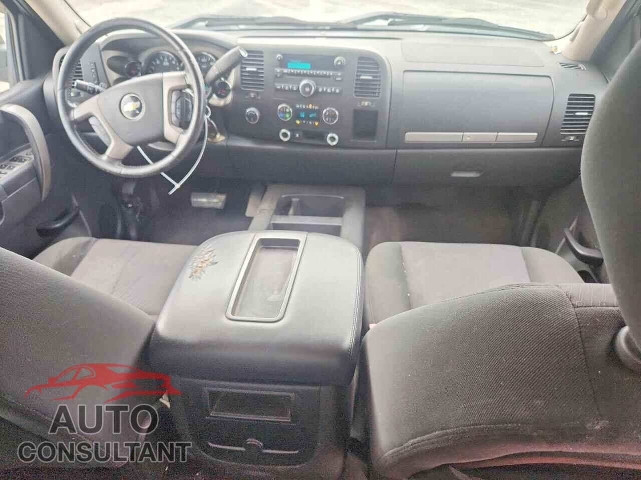 CHEVROLET SILVERADO 2010 - 1GCSKSE32AZ231609