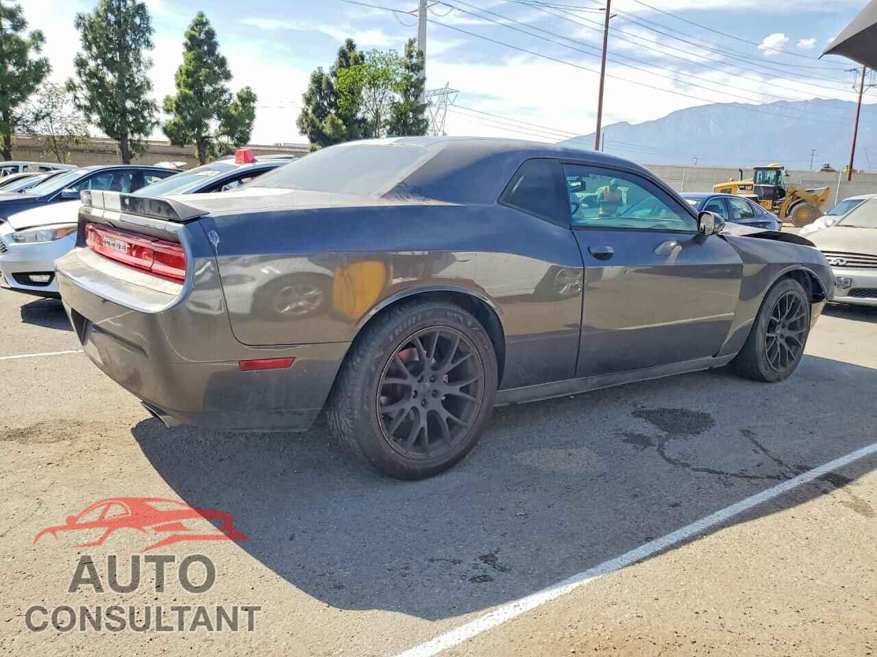 DODGE CHALLENGER 2013 - 2C3CDYAG4DH553669