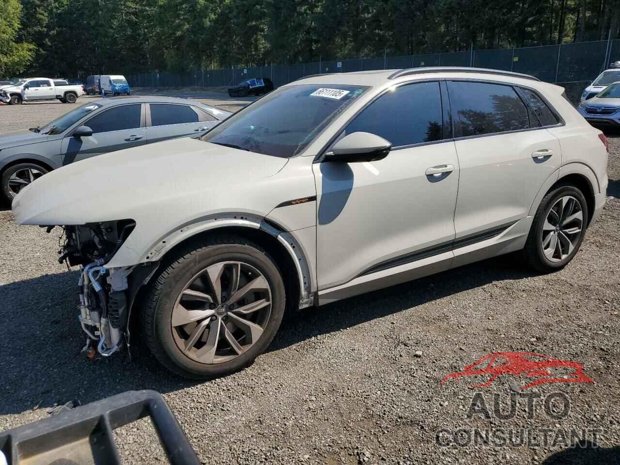 AUDI E-TRON 2021 - WA1LAAGE9MB041104