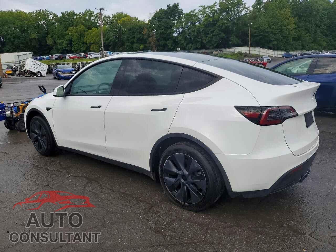 TESLA MODEL Y 2024 - 7SAYGAEE5RF161390
