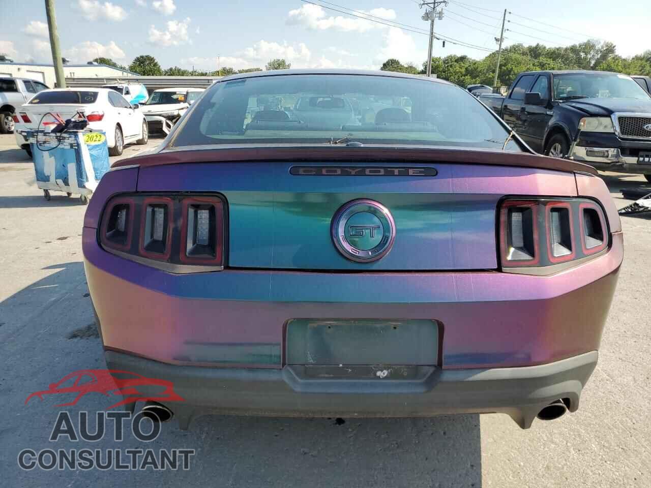 FORD MUSTANG 2011 - 1ZVBP8CF5B5117062