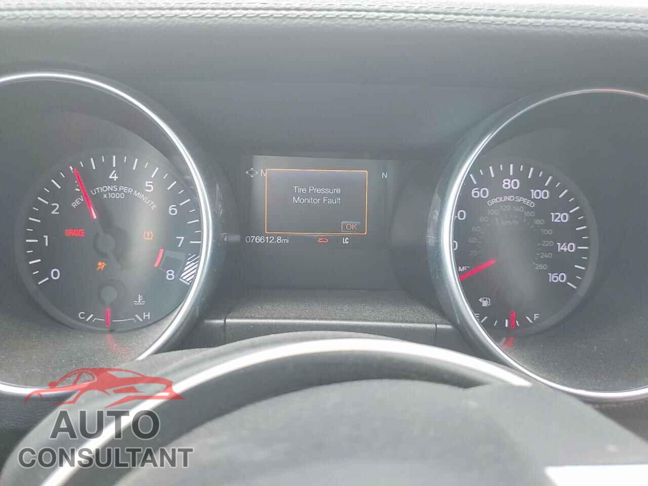 FORD MUSTANG 2019 - 1FA6P8CF7K5124492