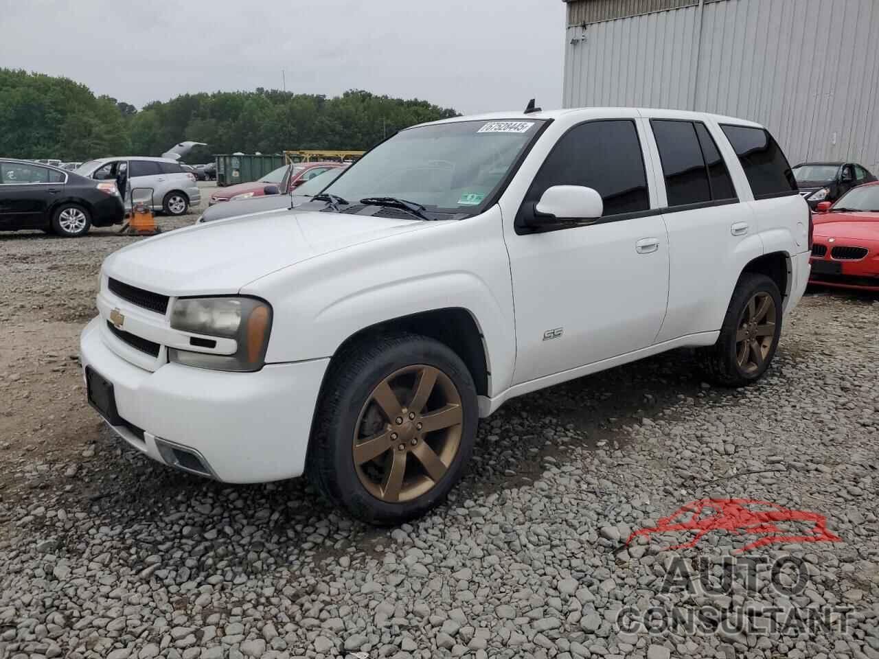 CHEVROLET TRAILBLZR 2009 - 1GNET53H392131542
