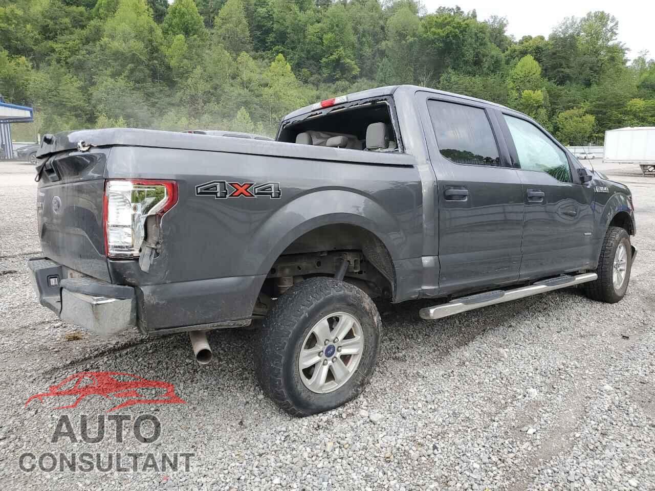 FORD F-150 2017 - 1FTEW1EP7HFB12366
