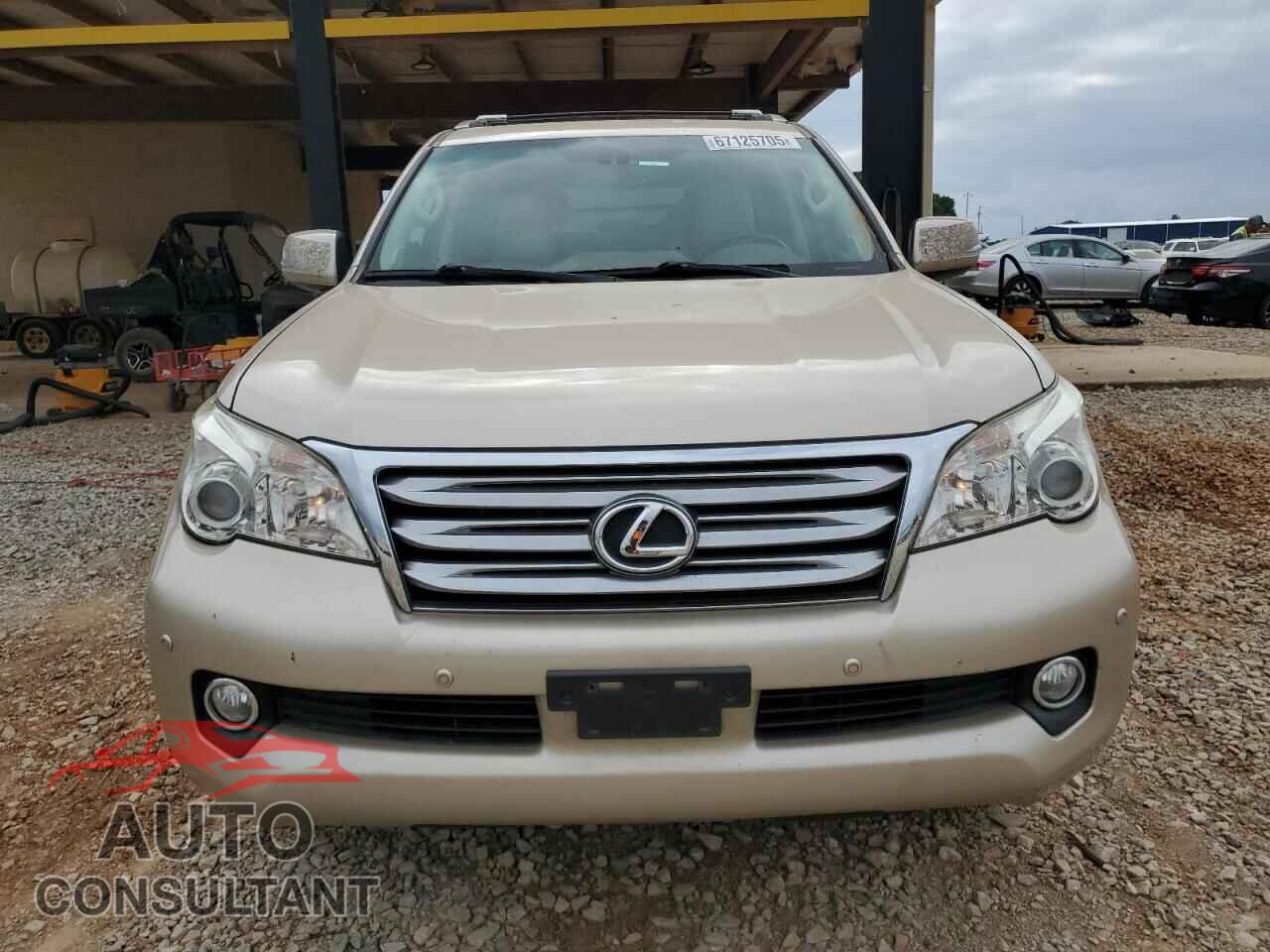 LEXUS GX 2010 - JTJBM7FX8A5000579