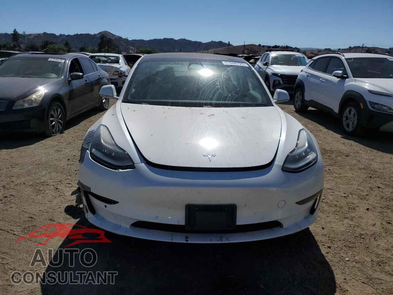TESLA MODEL 3 2019 - 5YJ3E1EA7KF407615