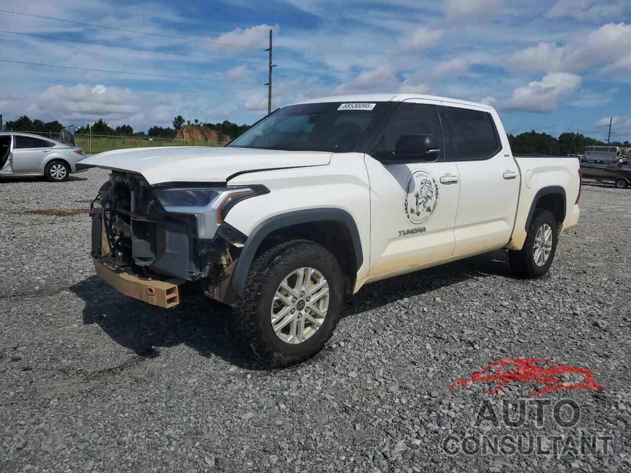 TOYOTA TUNDRA 2023 - 5TFLA5DB7PX099663