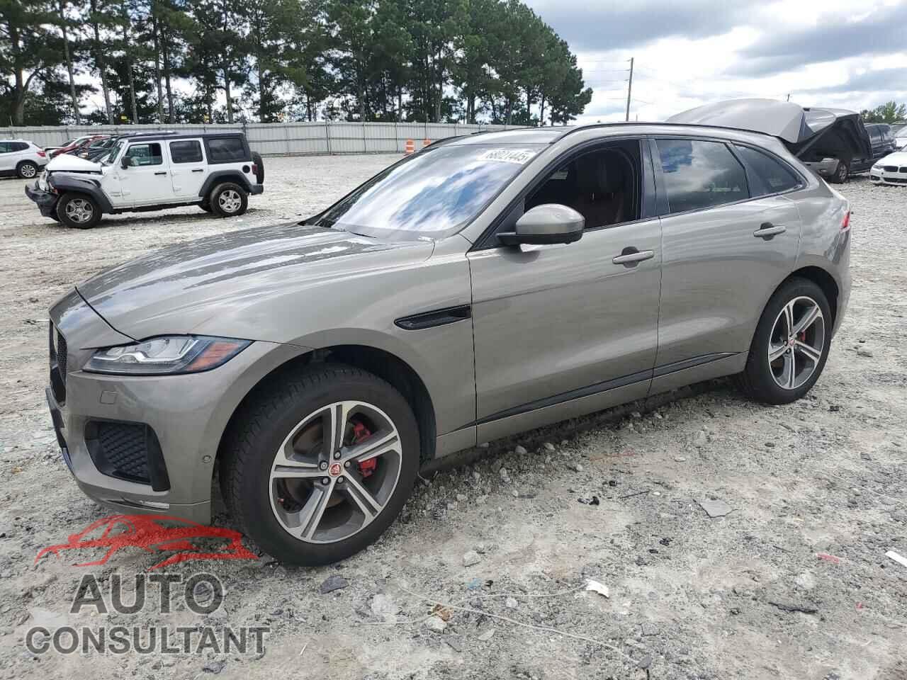 JAGUAR F-PACE 2018 - SADCM2FV5JA290865