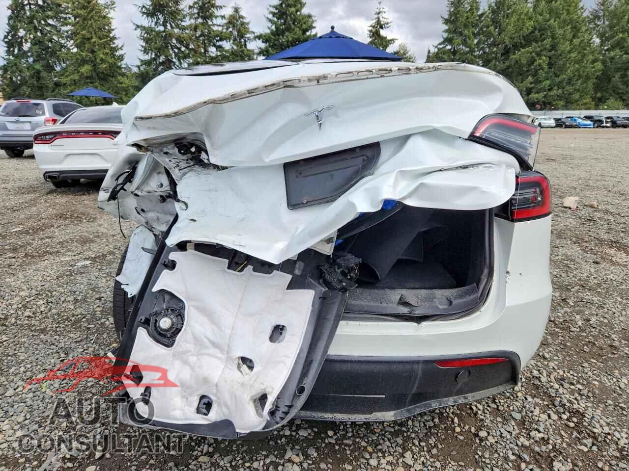 TESLA MODEL Y 2023 - 7SAYGDEF1PF664230
