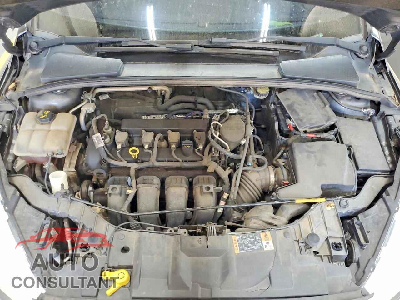 FORD FOCUS 2015 - 1FADP3K20FL223262