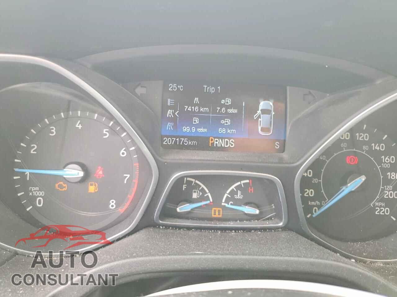FORD FOCUS 2016 - 1FADP3K29GL384596