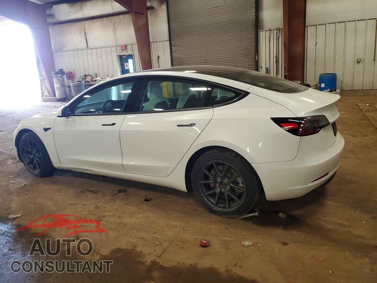 TESLA MODEL 3 2021 - 5YJ3E1EBXMF091994
