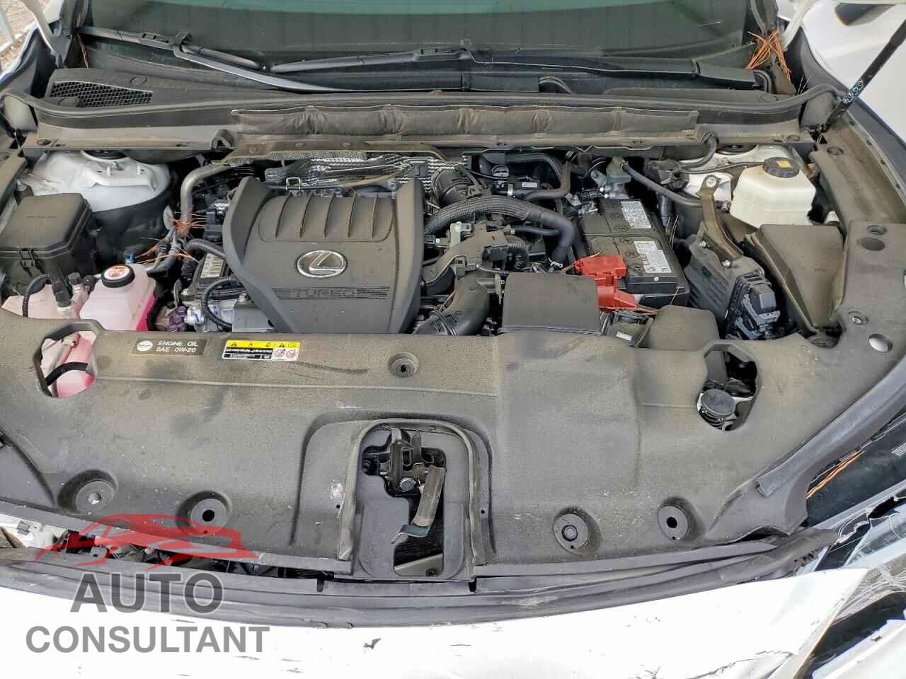 LEXUS RX350 2023 - 2T2BAMBA7PC014265