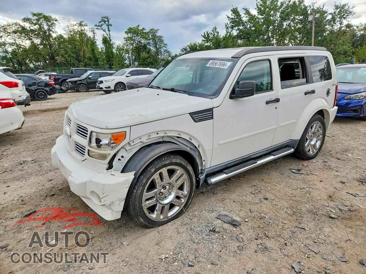 DODGE NITRO 2010 - 1D4PU5GK4AW113684