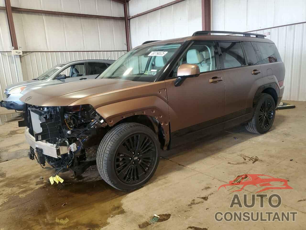HYUNDAI SANTA FE 2024 - 5NMP5DG10RH017030