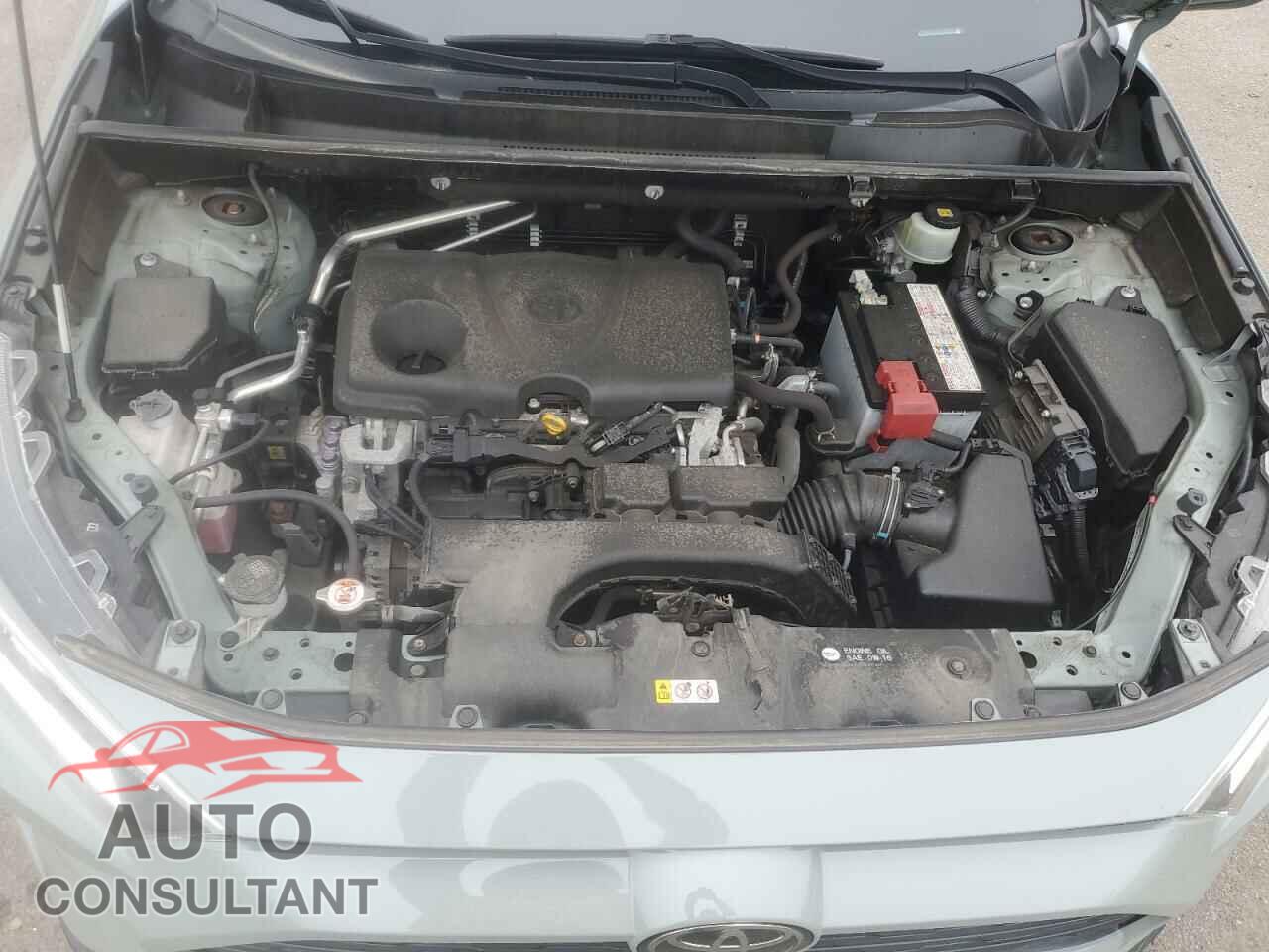 TOYOTA RAV4 2019 - JTMP1RFV9KD009374