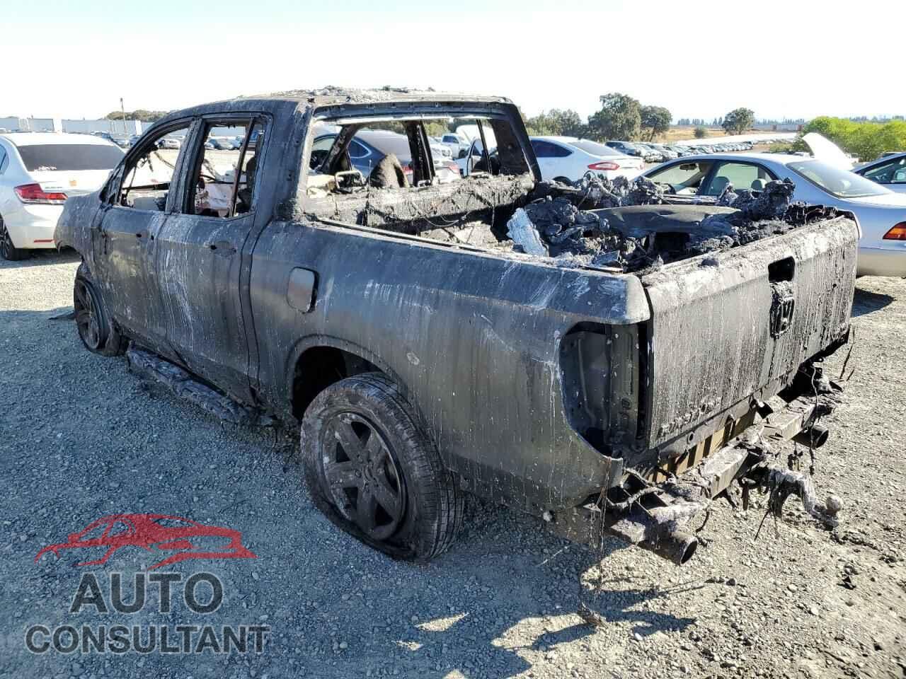 HONDA RIDGELINE 2021 - 5FPYK3F71MB003412