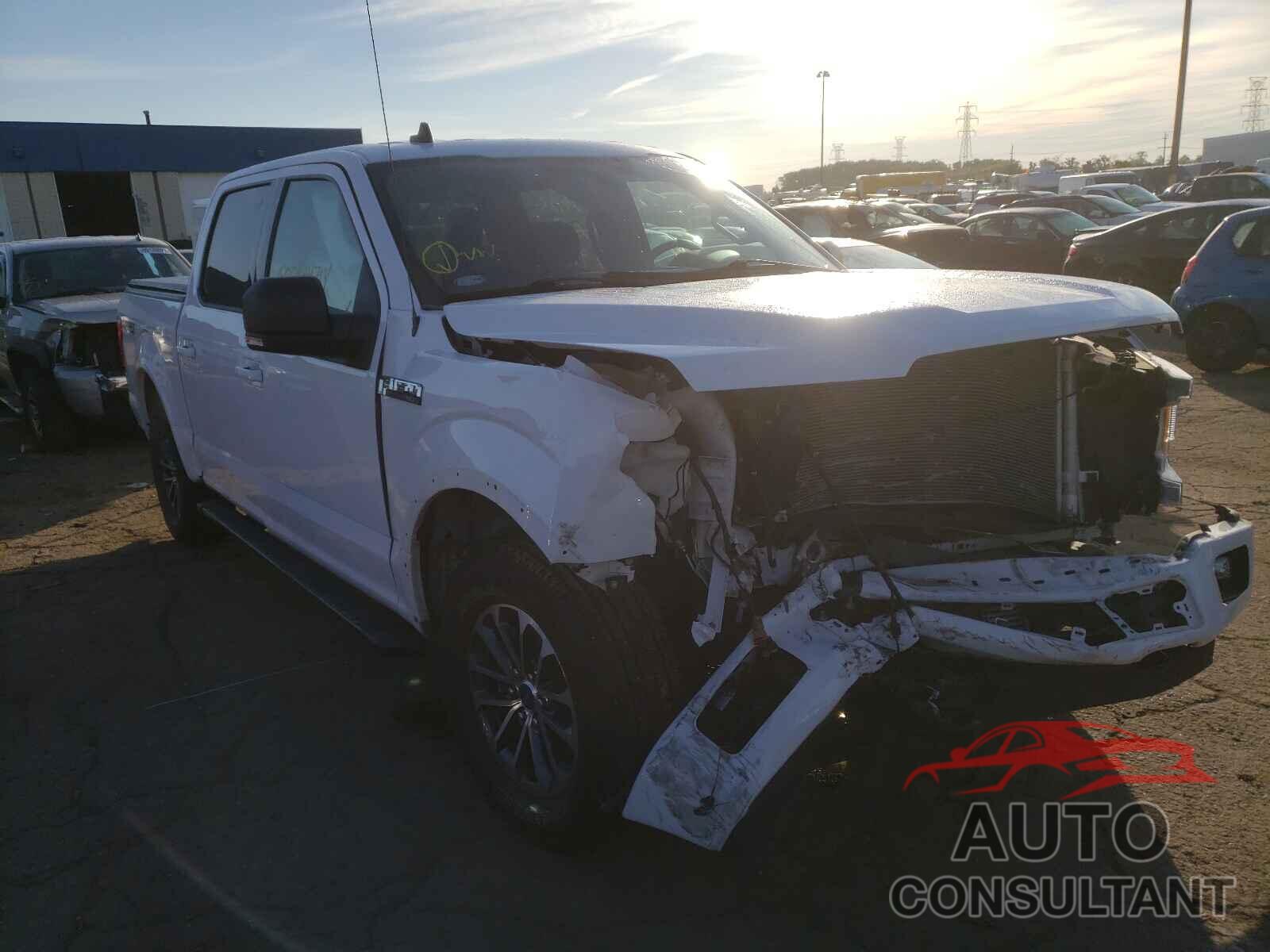 FORD F-150 2019 - 1FTEW1EP7KKF25113