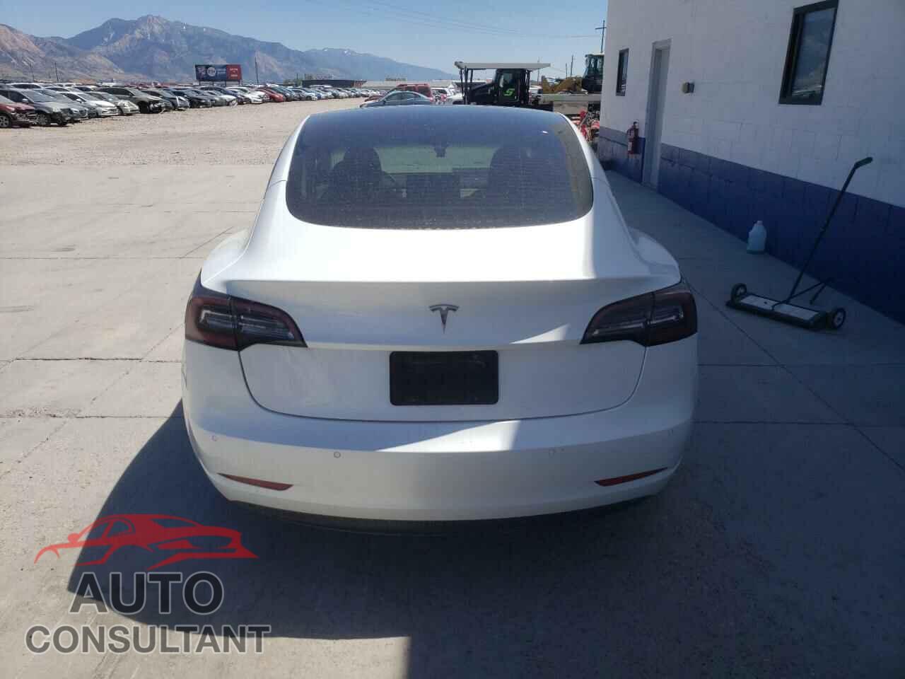 TESLA MODEL 3 2021 - 5YJ3E1EA1MF054176