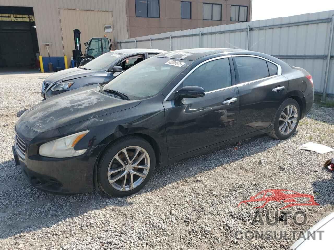 NISSAN MAXIMA 2009 - 1N4AA51E89C840053