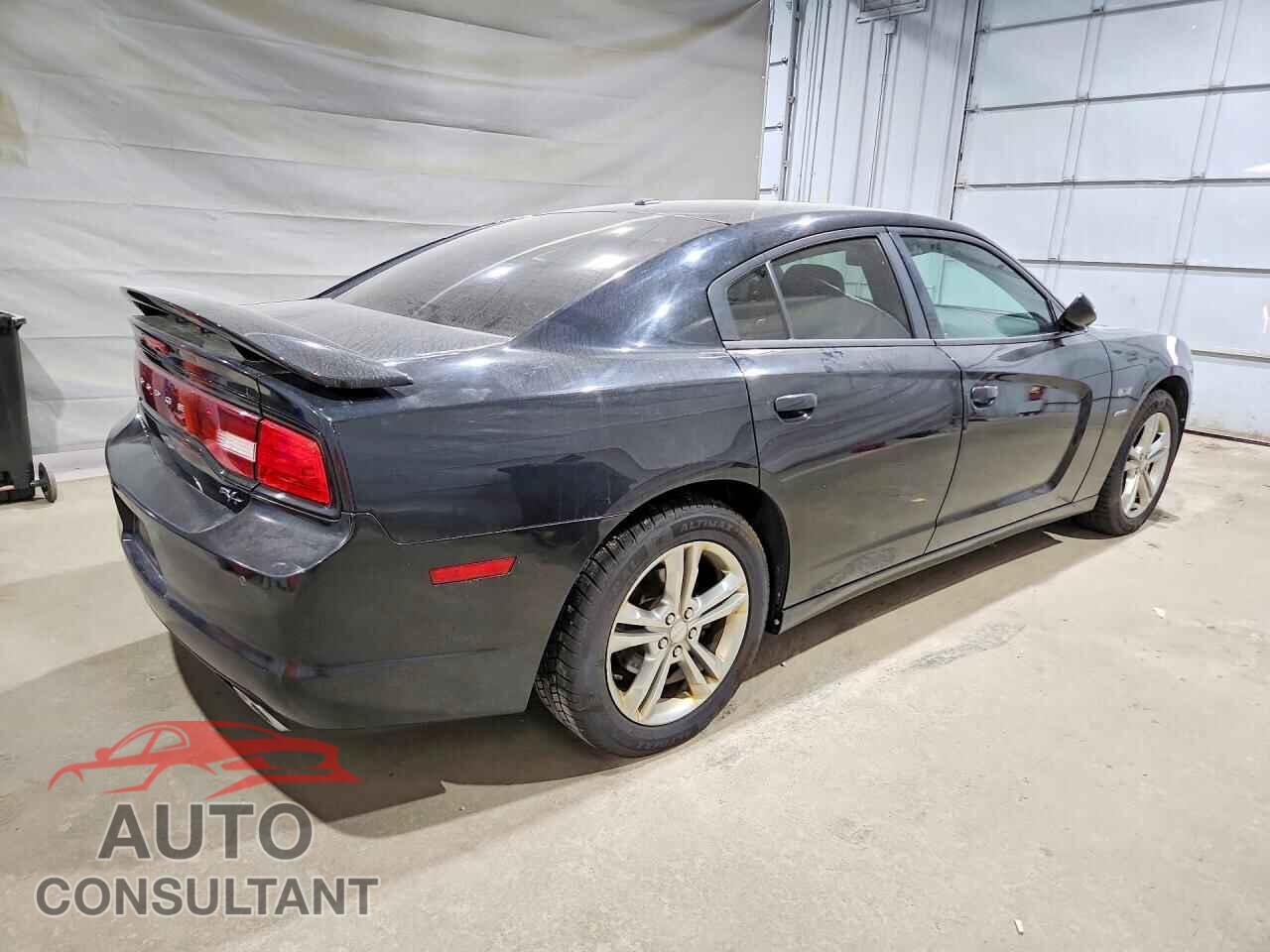 DODGE CHARGER 2014 - 2C3CDXDT9EH360809